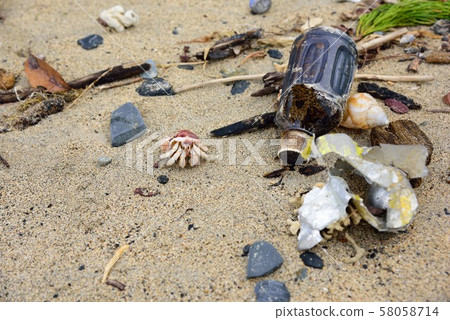 Environmental issues Yadokari living in the sea 1 58058714