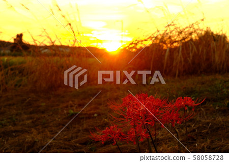 Higishiha and sunset Higishiha and sunset 58058728