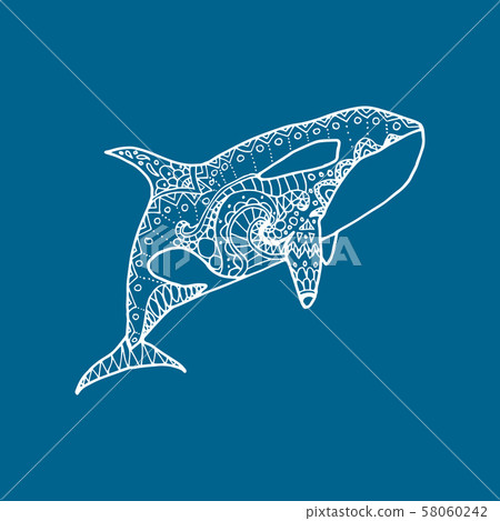 Vector illustration of white patterned orca 58060242