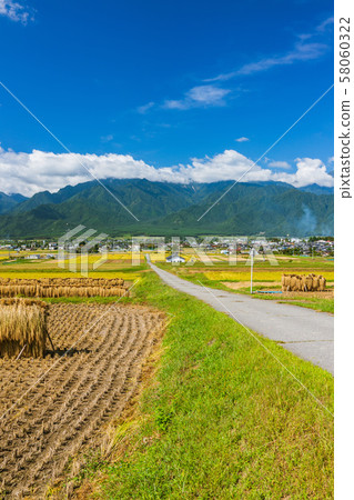 Azumino: Autumn scenery Kita-Azumi-gun Ikeda 58060322