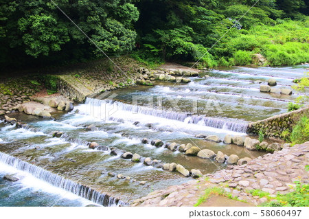 Hakone River 58060497