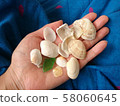 What I picked up on the beach 58060645