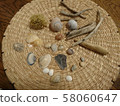 What I picked up on the beach 58060647