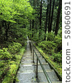 Stone steps and green 58060691