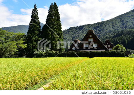 World heritage, gassho style and countryside 58061026