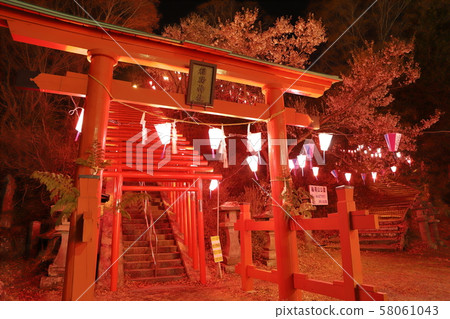 Inari Shrine / Senbon Torii① 58061043