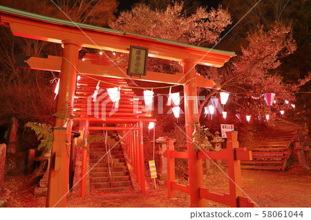 Inari Shrine / Senbon Torii② 58061044