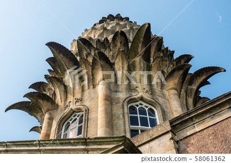 The Pineapple leafs at Dunmore 58061362