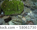 Hirahara river underwater water 58061730