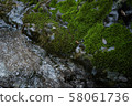 Hirahara river underwater water 58061736