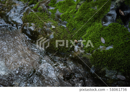 Hirahara河水下的水 Hirahara河水下的水 58061736