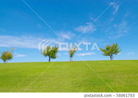 Image of prairie Image of prairie 58061783
