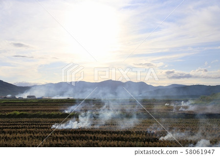 Burning straw 58061947