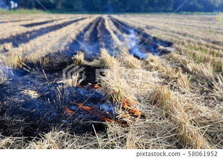 燃燒的稻草 58061952