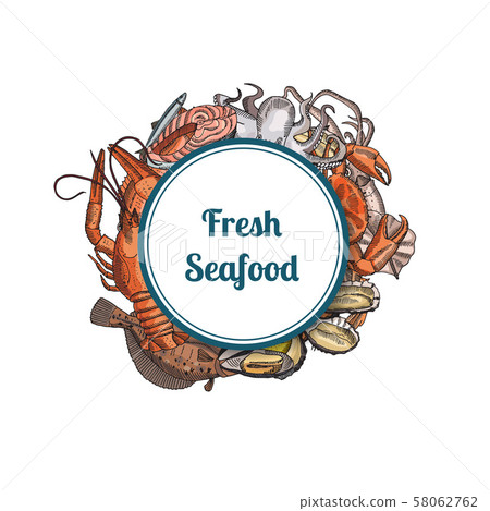 Vector hand drawn seafood elements - Stock Illustration [58062762] - PIXTA