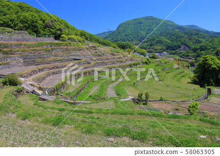 [Kagawa Prefecture] Nakayama Senmaida, Shodoshima 58063305