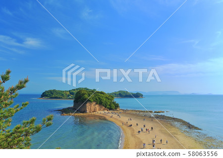 [Kagawa] Angel Road (Shodoshima) 58063556