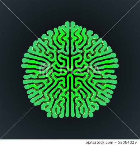 turing morphogenesis reaction diffusion element. turing morphogenesis reaction diffusion element. 58064029