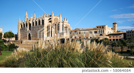 Exteror of Cathedral La Seu Exteror of Cathedral La Seu 58064084