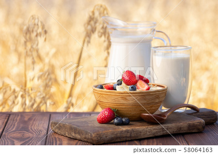 oatmeal with berries and field oatmeal with berries and field 58064163