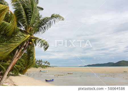 Boats at low tide. Sea cost. Boats at low tide. Sea cost. 58064586