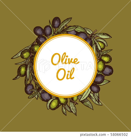 Vector hand drawn olive branches with place for text 58066502