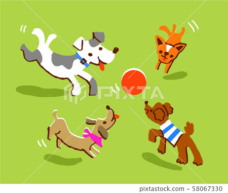 Dogs playing with a ball 58067330