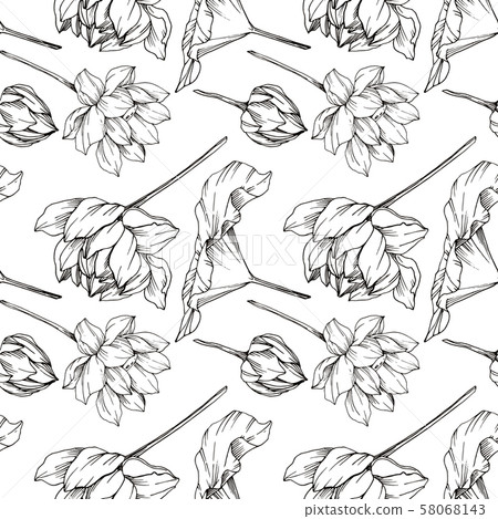 Vector Lotus floral botanical flower. Black and white engraved ink art. Seamless background pattern. 58068143