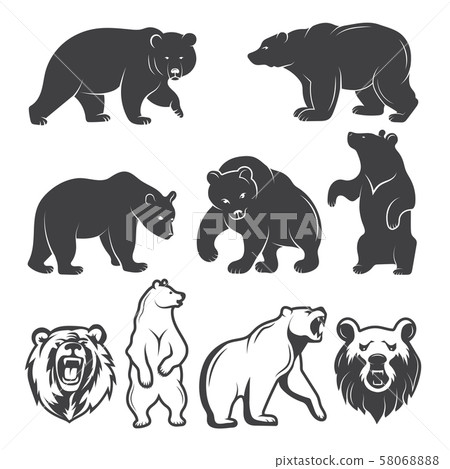 Illustrations of bears. Vector animals set 58068888