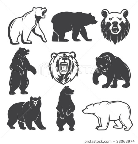 Monochrome illustrations of stylized bears. Pictures set for logos or badges design Monochrome illustrations of stylized bears. Pictures set for logos or badges design 58068974