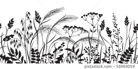 Seamless Border  with Monochrome Wild Plants 58069059