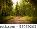 Magical autumn forest landscape. Sunrays in morning. 58069203