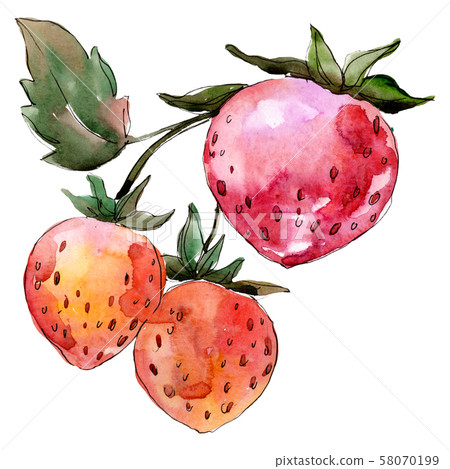 Strawberry healthy food. Watercolor background illustration set. Isolated berry illustration element 58070199