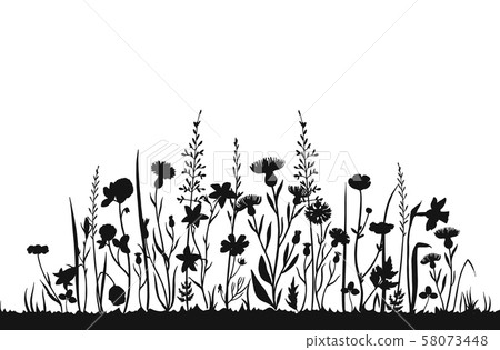 Wildflower silhouettes. Wild grass spring... - Stock Illustration  [58073448] - PIXTA