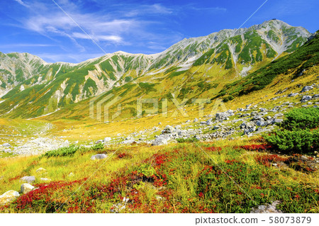 銀杏秋天的落葉和立山山脈 銀杏秋天的落葉和立山山脈 58073879