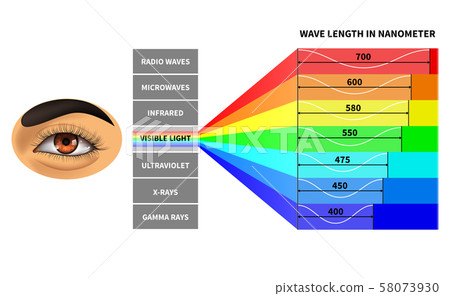 Visible light spectrum. Color waves length perceived by human eye. Rainbow electromagnetic waves 58073930