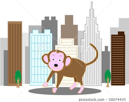 Wild monkeys appearing in residential and building areas 58074435