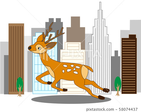 Wild deer inhabiting residential and building areas Wild deer inhabiting residential and building areas 58074437