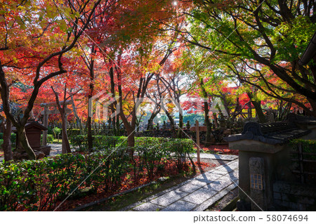 京都Akashino Nembutsu籍寺廟秋葉 京都Akashino Nembutsu籍寺廟秋葉 58074694