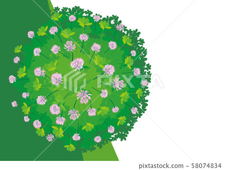 Clover illustration 012 Clover illustration 012 58074834