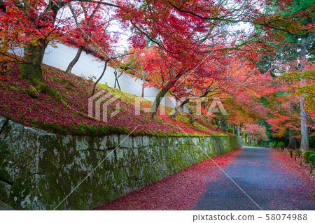 Autumn leaves of Kyoto Mangyin monument Autumn leaves of Kyoto Mangyin monument 58074988