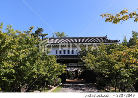 Kishiwada castle 58078849