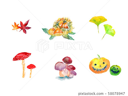 秋天的插圖切板栗秋天的樹葉銀杏萬聖節蘑菇 秋天的插圖切板栗秋天的樹葉銀杏萬聖節蘑菇 58078947