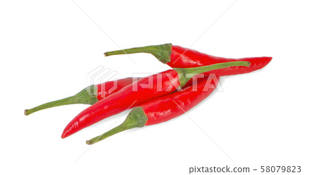 red chili pepper on white background 58079823