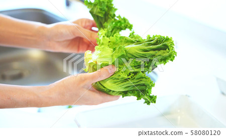 Women who tear lettuce 58080120