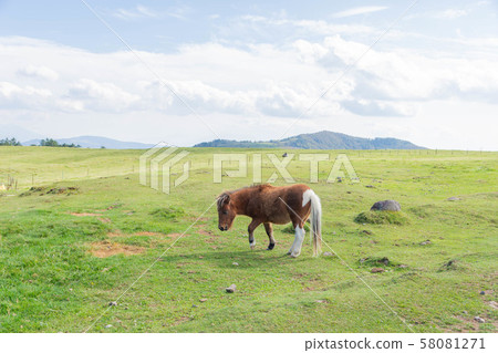 Plane of the plateau 58081271