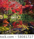 Autumn leaves, Kyoto, Nanzenji, Eikando, Zenrinji, red, yellow, background, beautiful 58081727