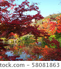 Autumn leaves, Kyoto, Nanzenji, Eikando, Zenrinji, red, yellow, background, beautiful 58081863