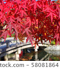 Autumn leaves, Kyoto, Nanzenji, Eikando, Zenrinji, red, yellow, background, beautiful 58081864