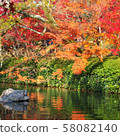 Autumn leaves, Kyoto, Nanzenji, Eikando, Zenrinji, red, yellow, background, beautiful 58082140